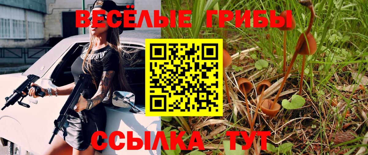 Балтийск  как найти   Вход с VPN  Псилоцибиновые грибы мицелий  Псилоцибиновые грибы MAGIC MUSHROOMS 