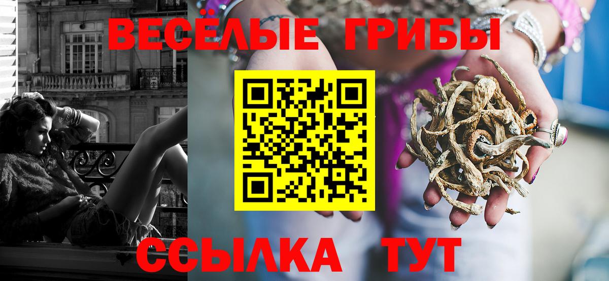 Галлюциногенные грибы мицелий Балтийск