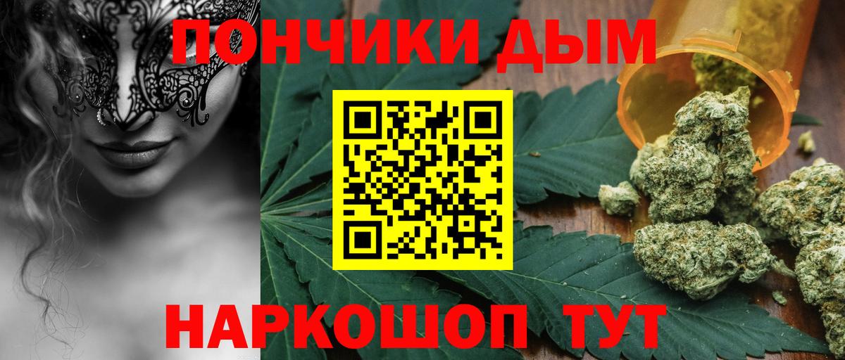 Марихуана Bruce Banner  Шишки марихуана план  Балтийск  Вход с VPN  Канабис индика 